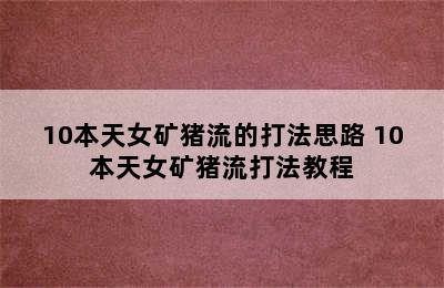 10本天女矿猪流的打法思路 10本天女矿猪流打法教程